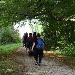 Dans la forêt