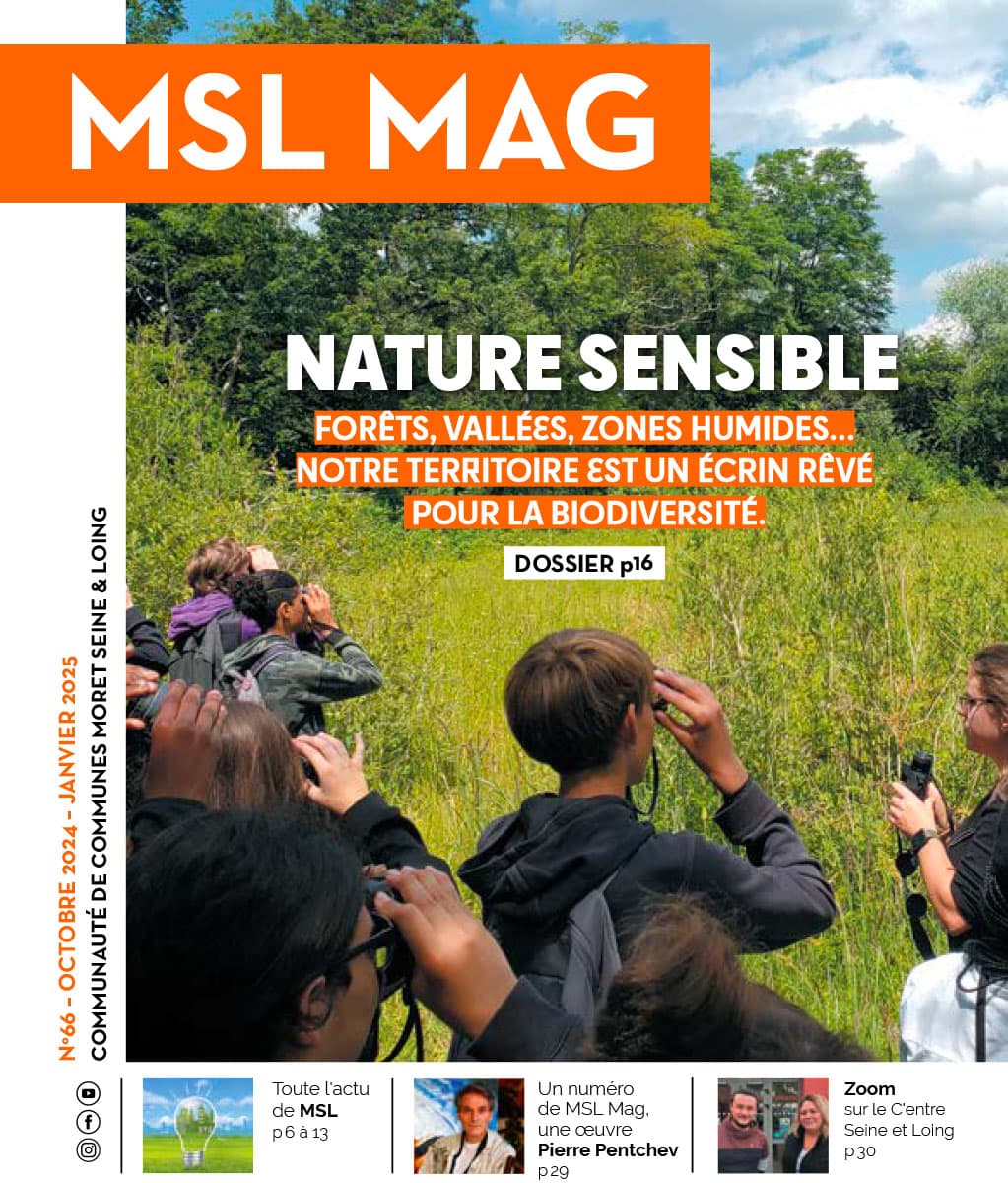 MSL MAG N° 66