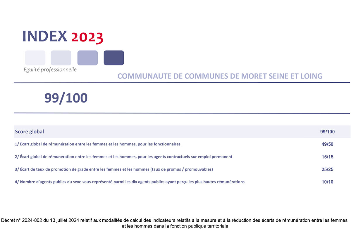 Publication de l’index lié à l’égalité professionnel femmes-hommes dans la fonction publique territoriale